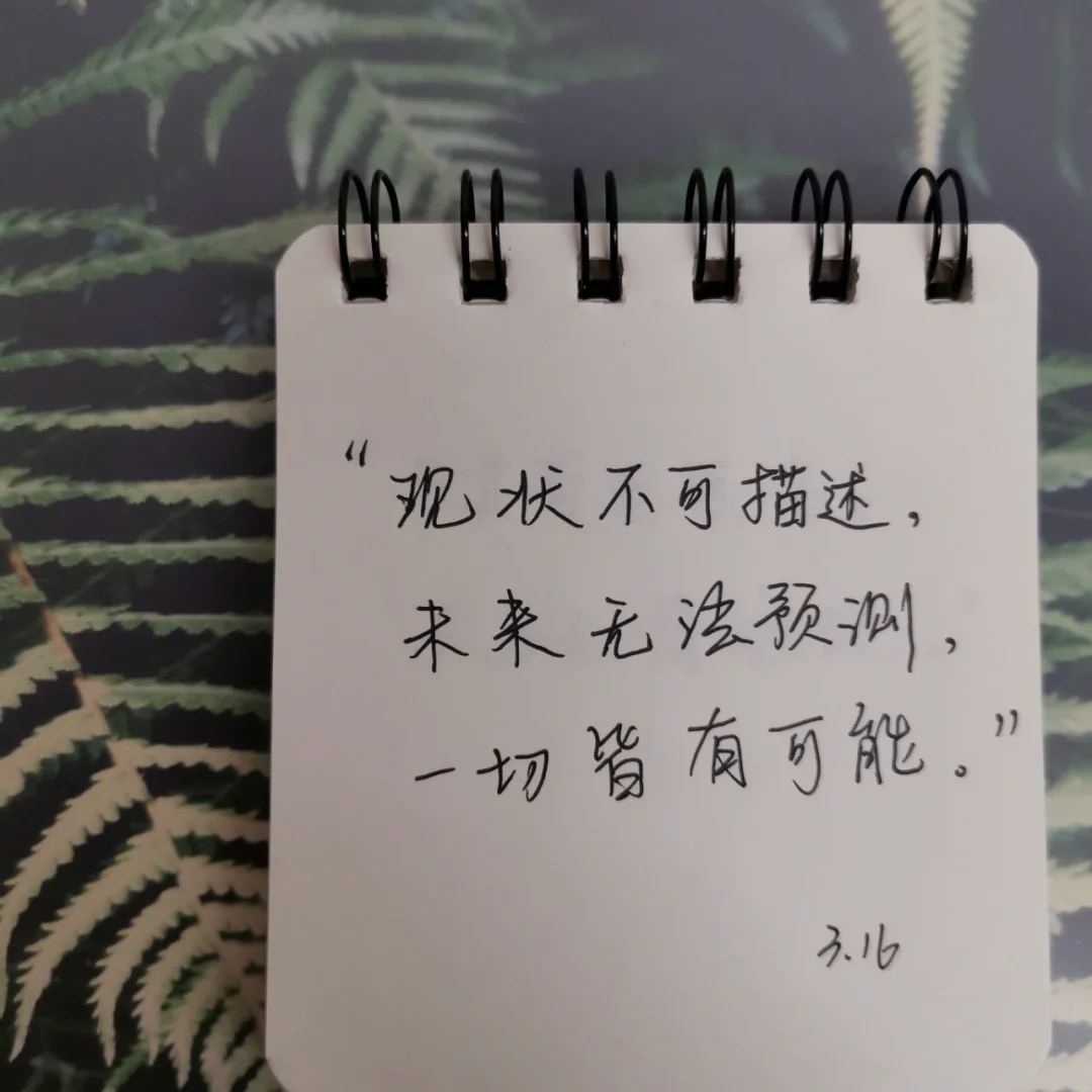 爱游戏登录入口-巴勒莫踢传统战术赌运气，成败皆有可能