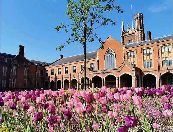 比利时游泳好手力取银牌,成就卓著的简单介绍 比利时游泳好手力取银牌,成就卓著的简单介绍